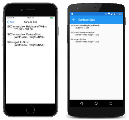 Screenshots show the Surface Size app running on two mobile devices.